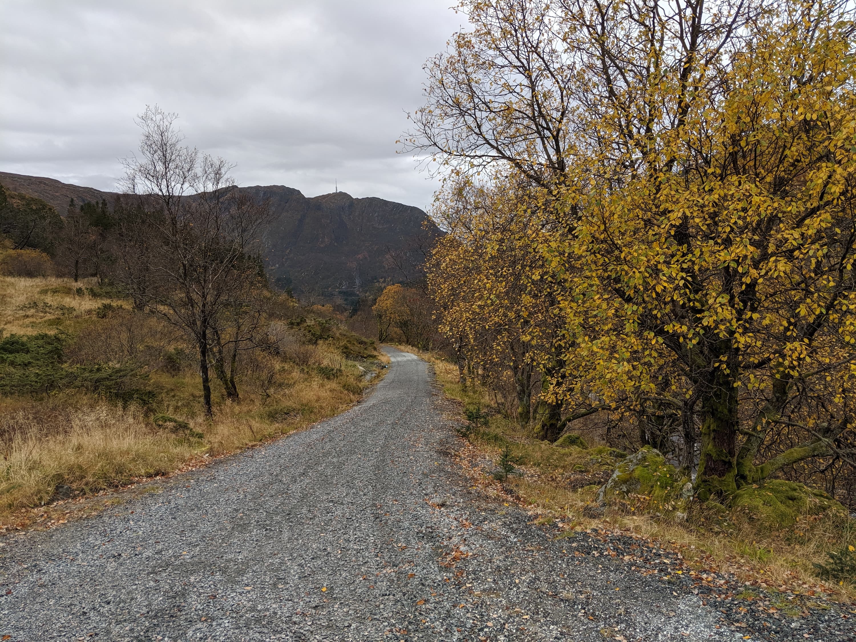 Cover Image for Me vs Docker Round 1: Nothing is as easy as it looks.