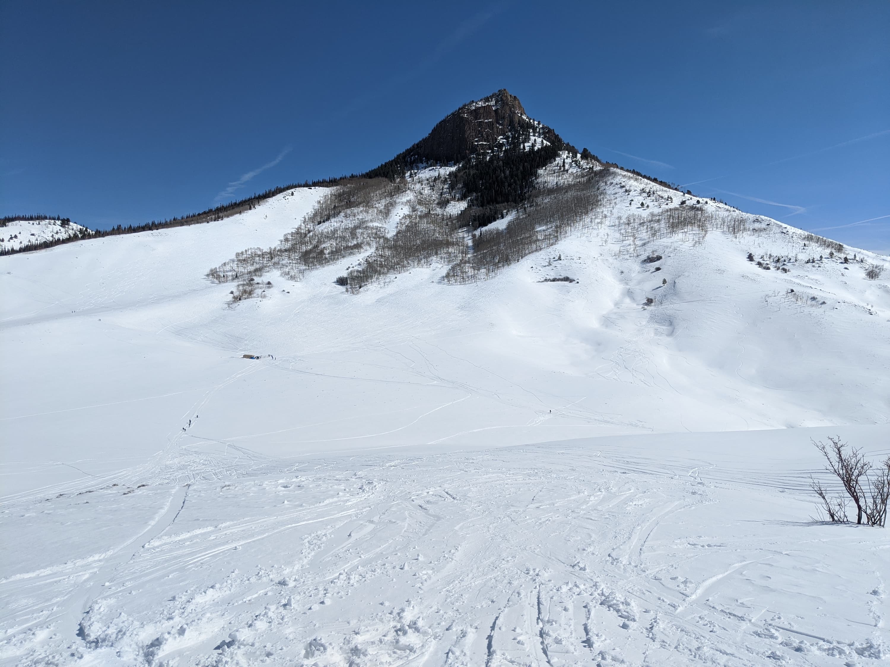 Cover Image for Shoshin 2: Jest tests can be ran asynchronous