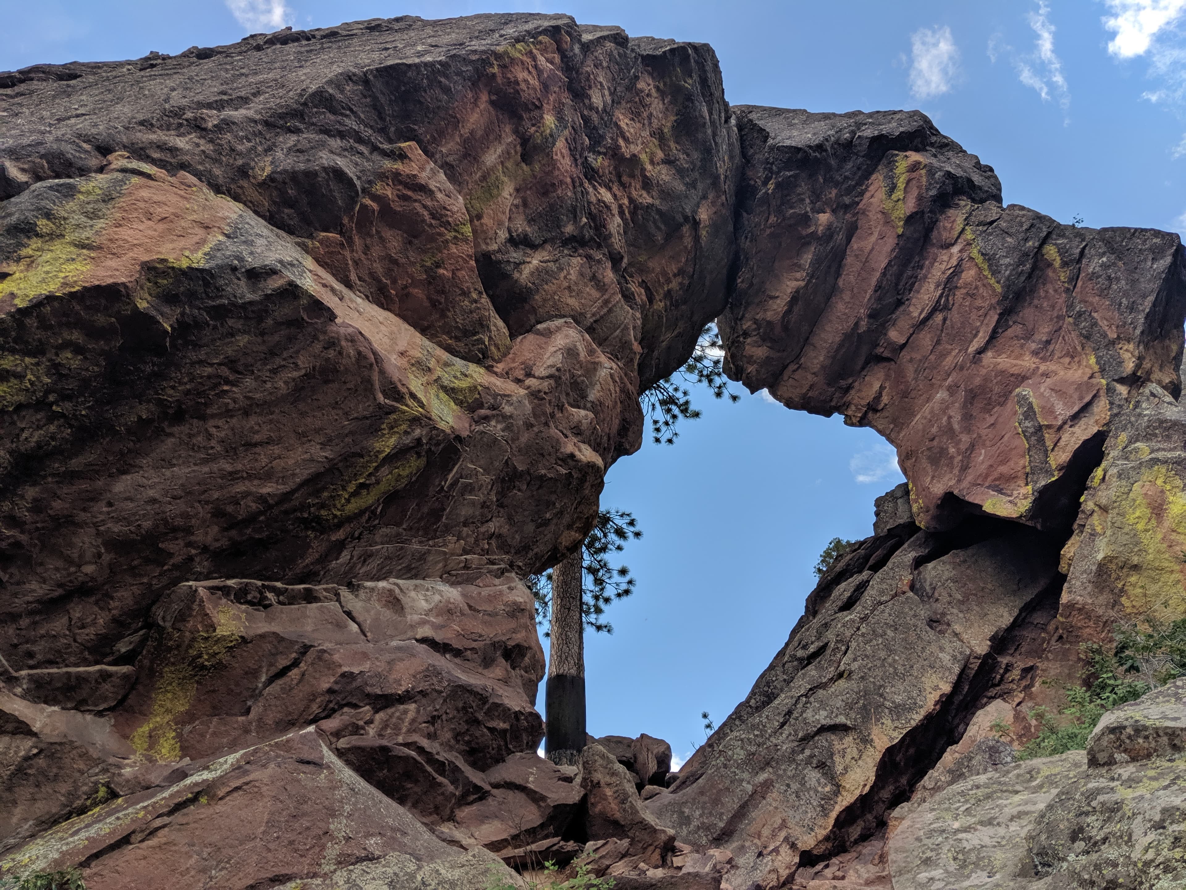 Cover Image for The Scorched Earth Guide to Adding React 16 to Django